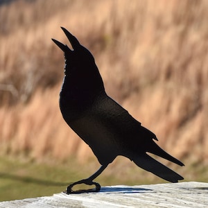 May include: Black metal silhouette of a crow with its beak open, perched on a wooden surface. The crow is facing the right side of the image.