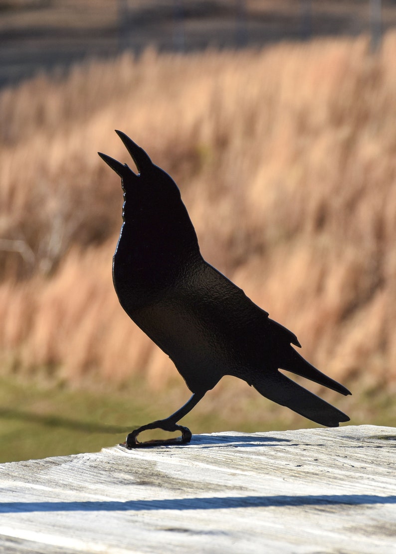 May include: Black metal silhouette of a crow with its beak open, perched on a wooden surface. The crow is facing the right side of the image.