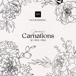Carnations Flower, January Flower, Flower SVG, PNG, January Birth Month Flower, Digital Illustration, Carnation Clipart, Clip Art, Line, Set