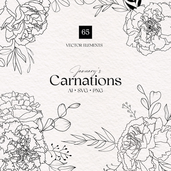 Carnations Flower, January Flower, Flower SVG, PNG, January Birth Month Flower, Digital Illustration, Carnation Clipart, Clip Art, Line, Set