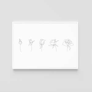 Life of Rose | One Line Drawing | Rose Art | Minimal Line Art | Printable Wall Art | Digital Download | Black and White