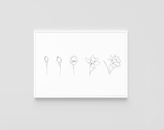 Life of a Daffodil One Line Drawing DIGITAL DOWNLOAD Print Flower Art Home Decor Wall Simple Abstract Minimalistic Artwork Floral Botanical