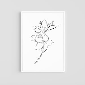 Jasmine | Flower | Botanical Print | Minimal Line Art | Printable Wall Art | Digital Download | Floral Print
