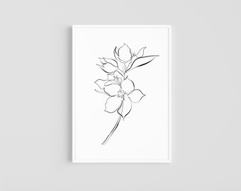 Jasmine | Flower | Botanical Print | Minimal Line Art | Printable Wall Art | Digital Download | Floral Print