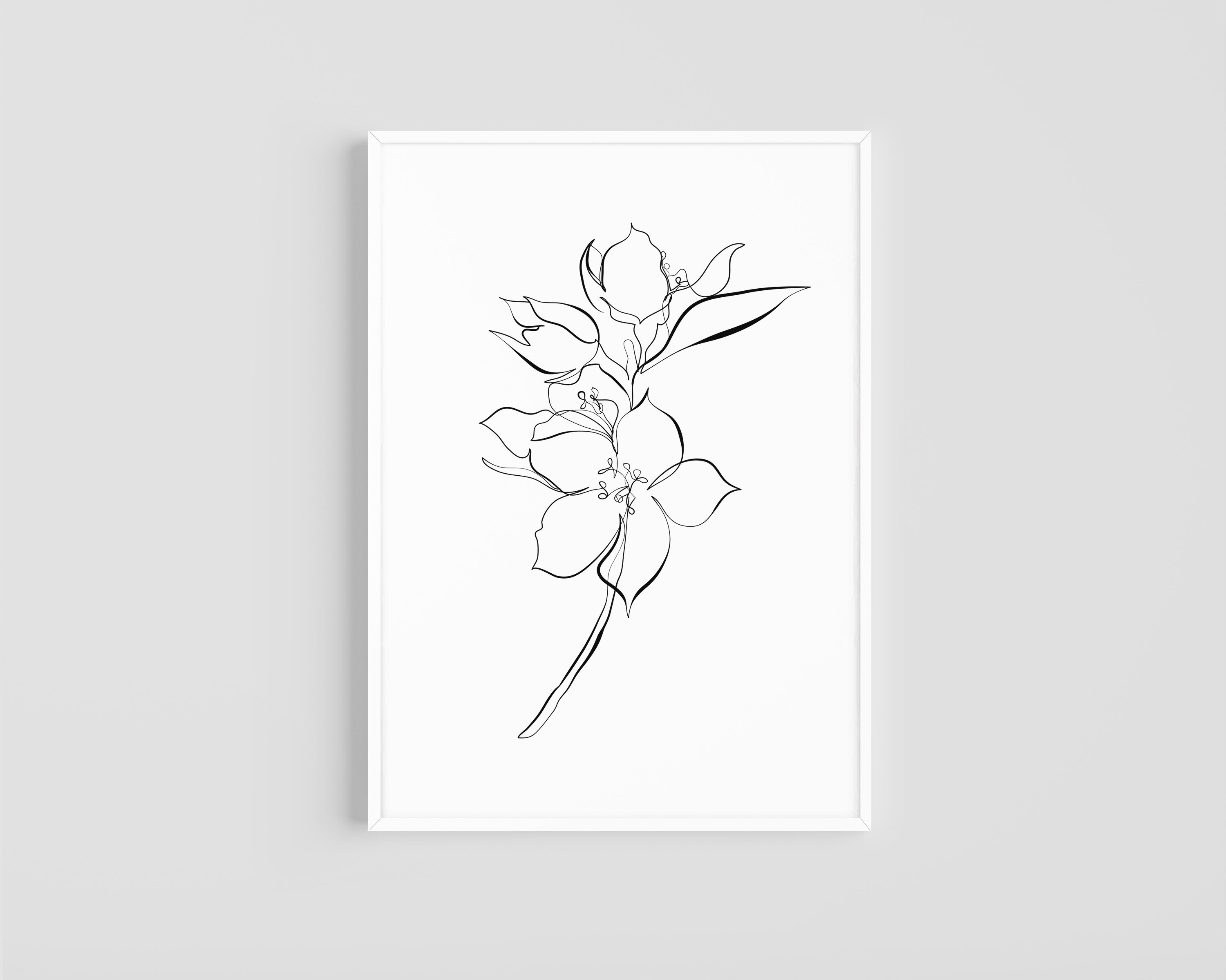 Jasmine flower | Illustration, gift idea