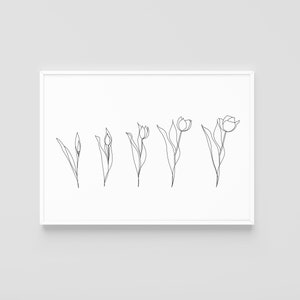 Life of a Tulip Line Drawing Art DIGITAL DOWNLOAD Print Printable Flower Floral Plant Wall Deco Home Minimalistic Simple Modern Artwork