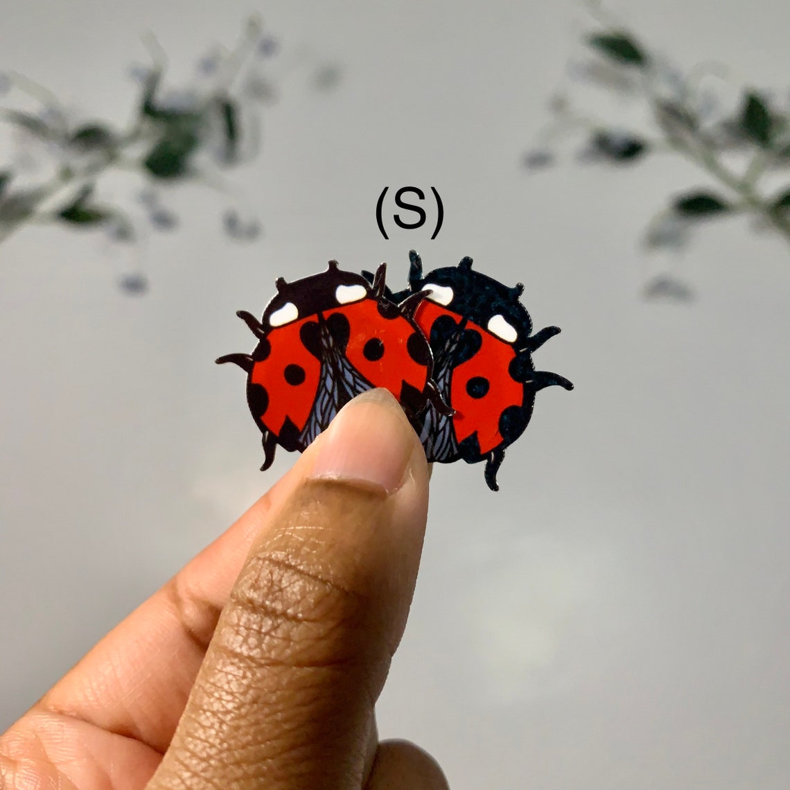 coccinella arancione coccinella arancione