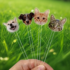 Personalized Pet Stir Sticks, Personalized Drink Stirrers With Face, Double-Sided Pet Stir Sticks, Party Decorations, Wedding Drink Sticks