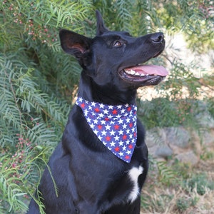 Patriotic Dog Bandana - Personalized, Teddy&Co.