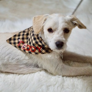 Classic Check Dog Bandana - Gepersonaliseerd, Teddy & Co.