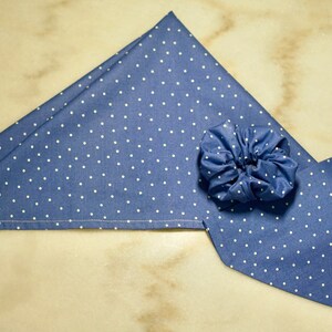 Dainty Blue Dog Bandana Personalized, Teddy&Co. image 6