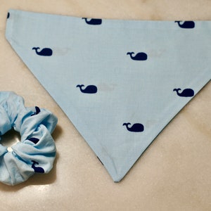 Blue Whale Dog Bandana Personalized, Teddy&Co. image 4