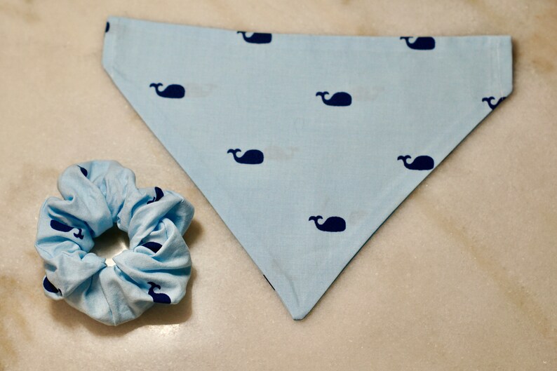 Blue Whale Dog Bandana Personalized, Teddy&Co. image 4