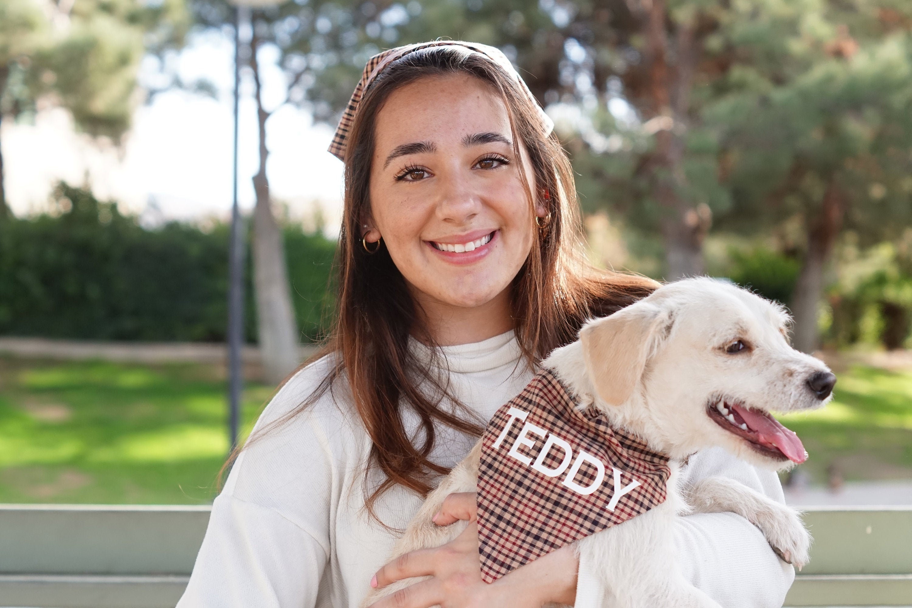 Burberry Scarf Dog - Etsy Burberry Scarf Dog - Etsy