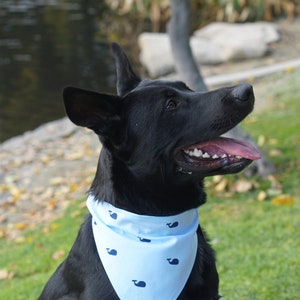 Blue Whale Dog Bandana Personalized, Teddy&Co. image 3