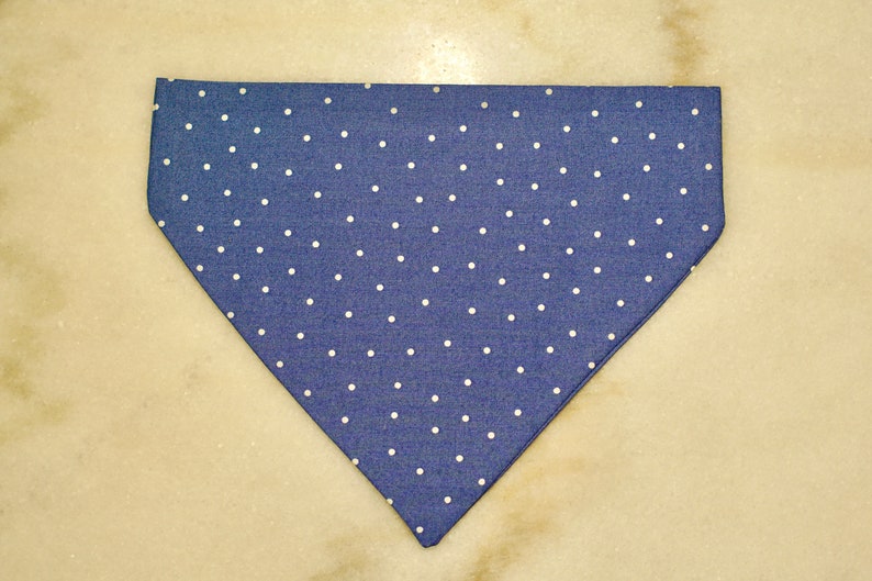 Dainty Blue Dog Bandana Personalized, Teddy&Co. image 5