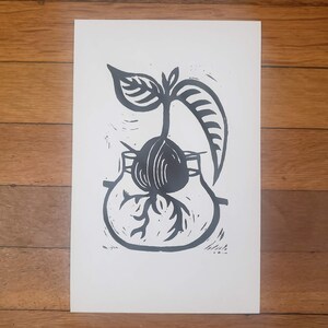 Ahuacatl - Aguacate - Avocado No. 1