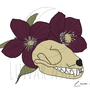 Fruit Bat with Hellbore | Art Print |Gift | Illustration | 6x4