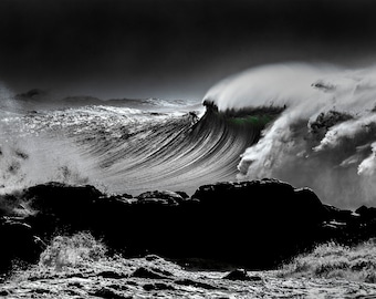 El ganador del Premio Waimea Wolfs Hawaii Matted 8x 12 fotografía impresa en papel metálico de galería de bellas artes. Firmado por artista. Aloha