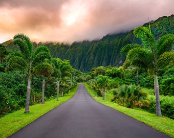 Fotografía de Koolau Mountains Matted 8x 12 impresa en papel metálico premium de la galería de bellas artes. Firmado por artista. Aloha