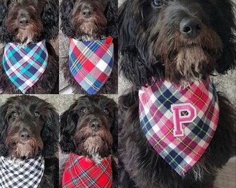 cockapoo bandana