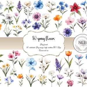 80 High Quality watercolour spring flowers Clip Art - PNG Format - Instant Download - Commercial Use