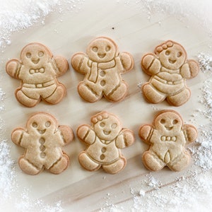 Cookie cutter and stamp multi-size: Gingerbread *600