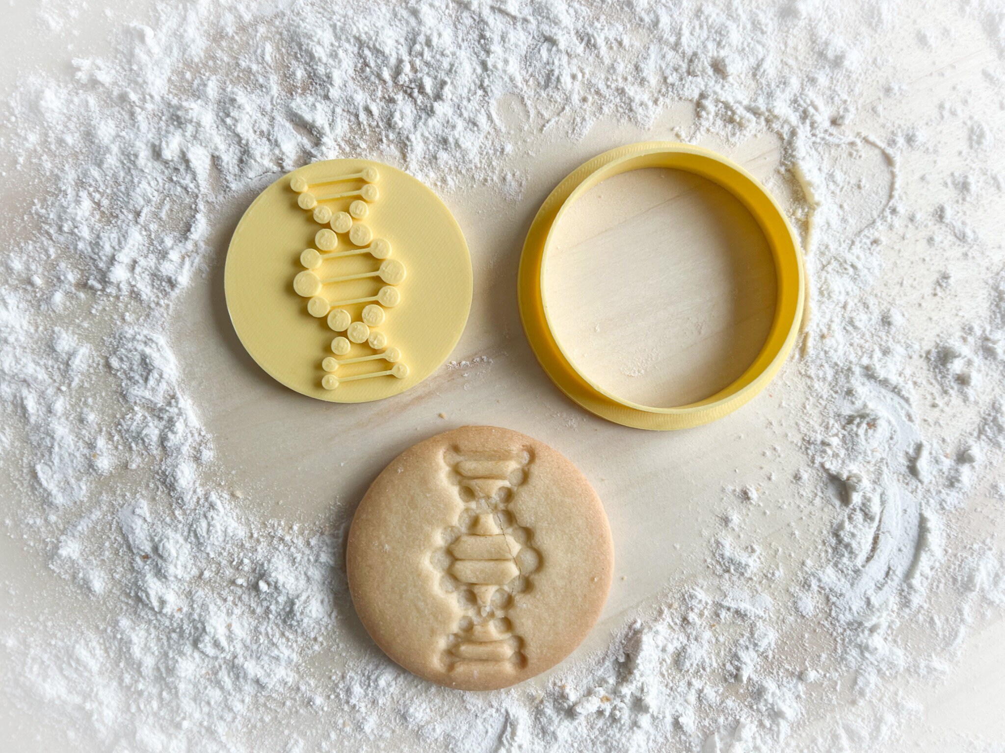 Pathologists Cookies Microbiology Cookies The Microbiology Community Blog: #FEMSmicroBlog