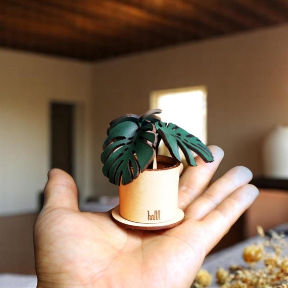 A leather-wrapped mini monstera planter that doubles as a jewelry box or diffuser — wildly original, USA-made, and 221 people already want one.