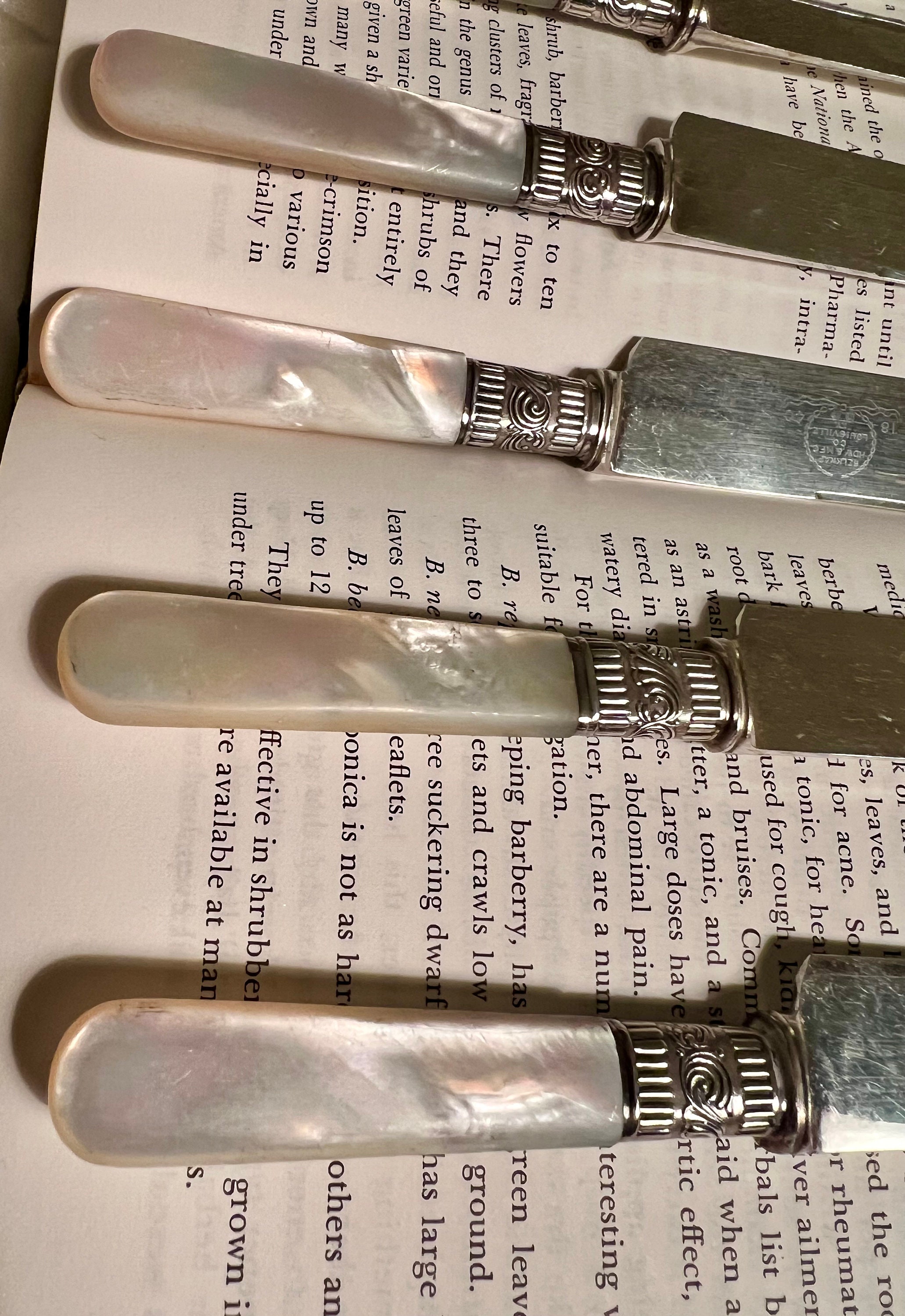 Set of 12 Victorian Era Sterling Silver Pearl Handled Knives Set of 12 Victorian Era Sterling Silver Pearl Handled Knives