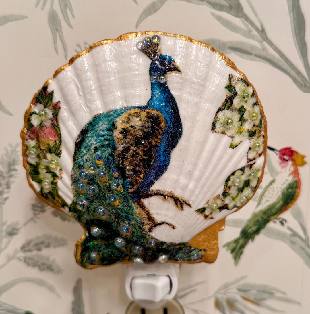 Peacock Inner Shell Peacock Embellished Scallop Shell Nightlight - Etsy