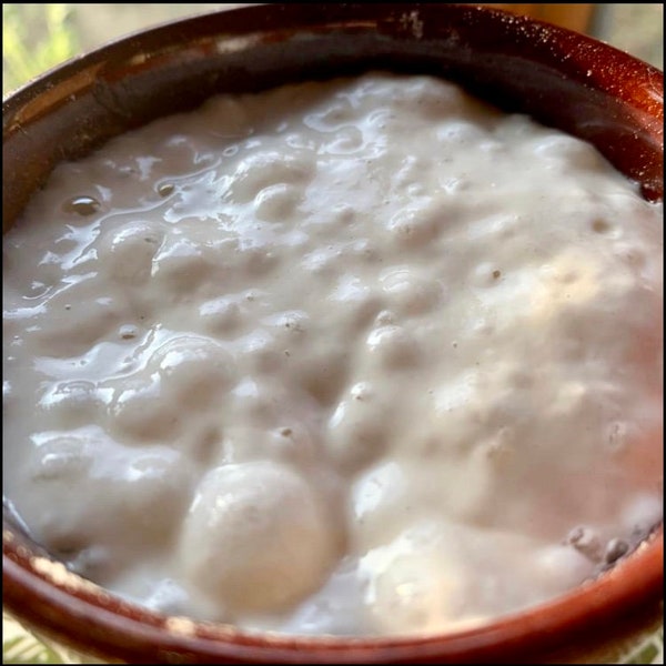 100% Organic Heirloom Sourdough Starter