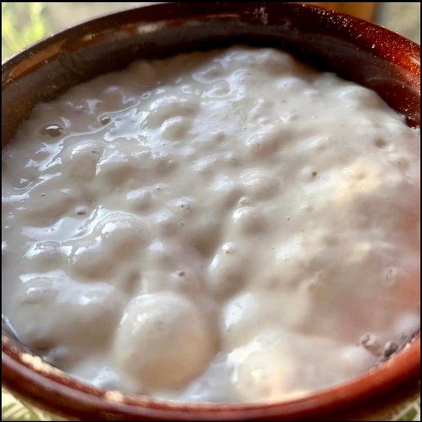 Heirloom Sourdough Starter