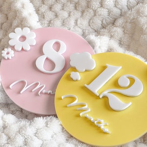 Colorful Monthly Baby Milestone Plaques | Baby Photo | Baby Shower Gift | Interchangeable | Acrylic