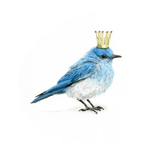 Bluebird Princess  |  signed   |  8 x 10 or 11 x 14 print