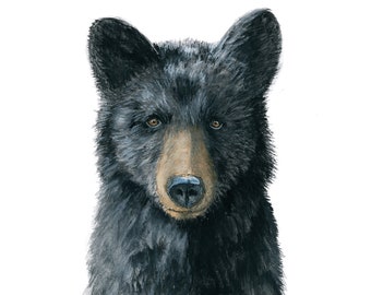 Black Bear | signed  |  8 x 10 or 11 x 14 print