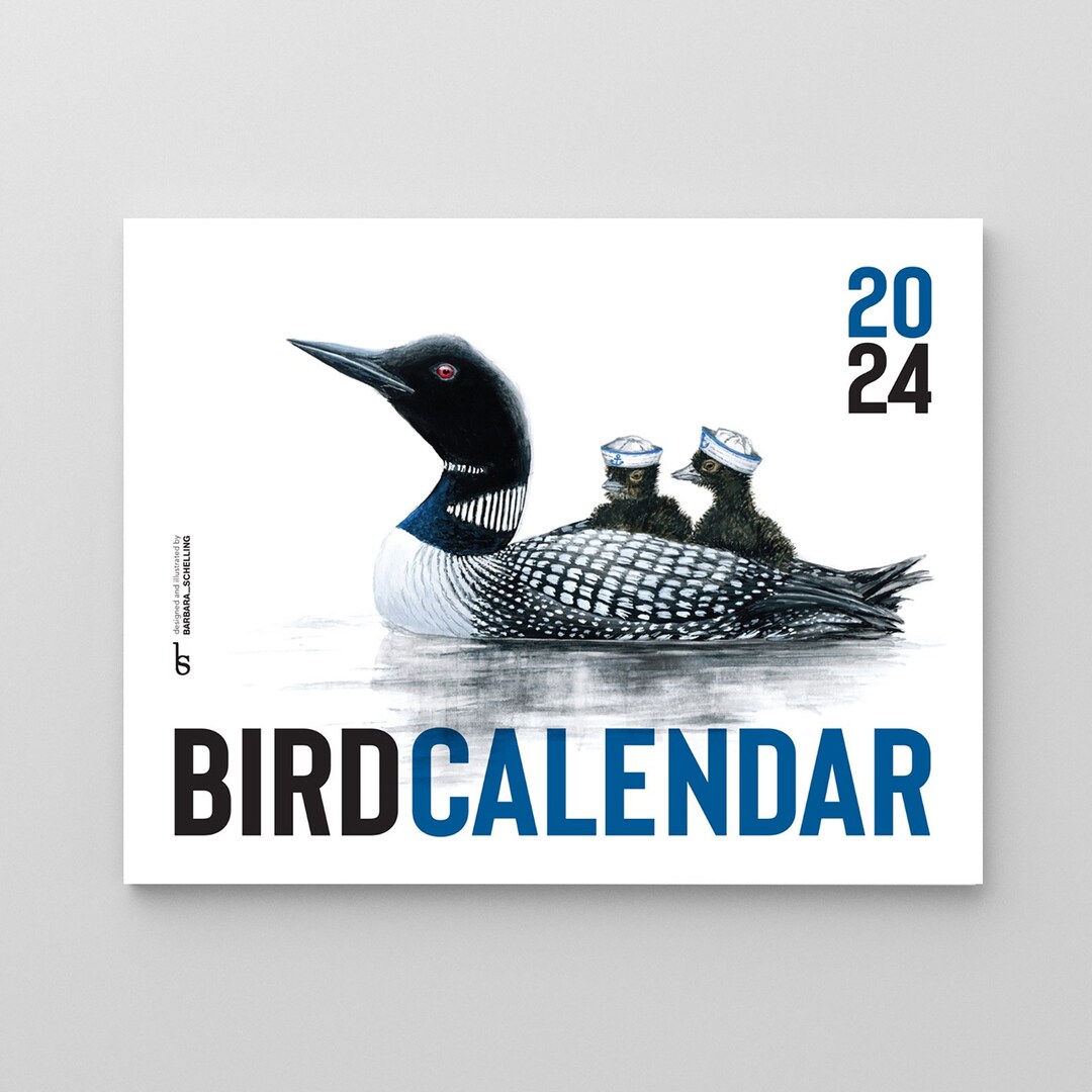 2024 Bird Wall Calendar Etsy