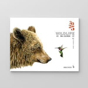2025 Wildlife Calendar (on sale!)