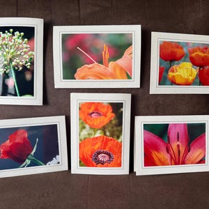 Fotokaarten, kies je foto's, blanco kaarten, set van 3