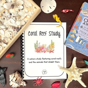 Coral Reef Unit Study