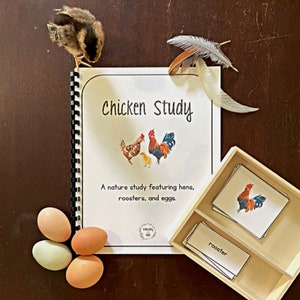 Chicken Unit Study