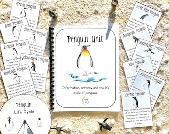 May include: A penguin unit educational resource with colorful cards featuring different penguin species, a life cycle wheel, and a booklet with information about penguins. The cards include names like Emperor Penguin, Rockhopper Penguin, and Gentoo Penguin.