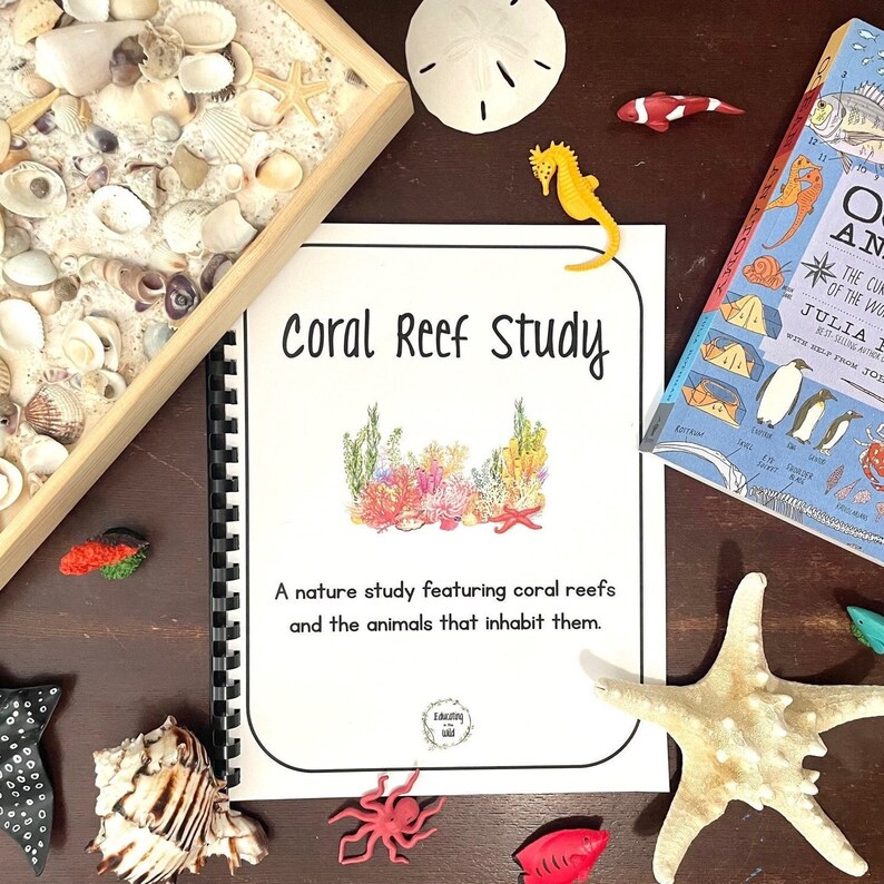 Coral Reef Unit Study - Etsy