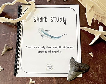 Shark Homeschool Study Unit | Digital Download Curriculum - Etsy