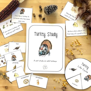 Turkey Unit Study