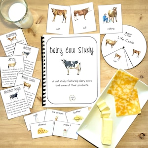 Dairy Cow Unit Study