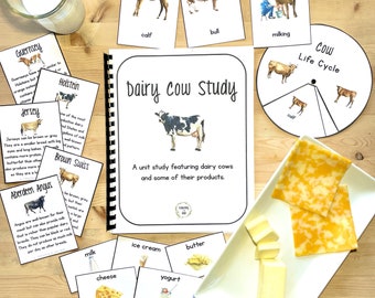 Dairy Cow Unit Study