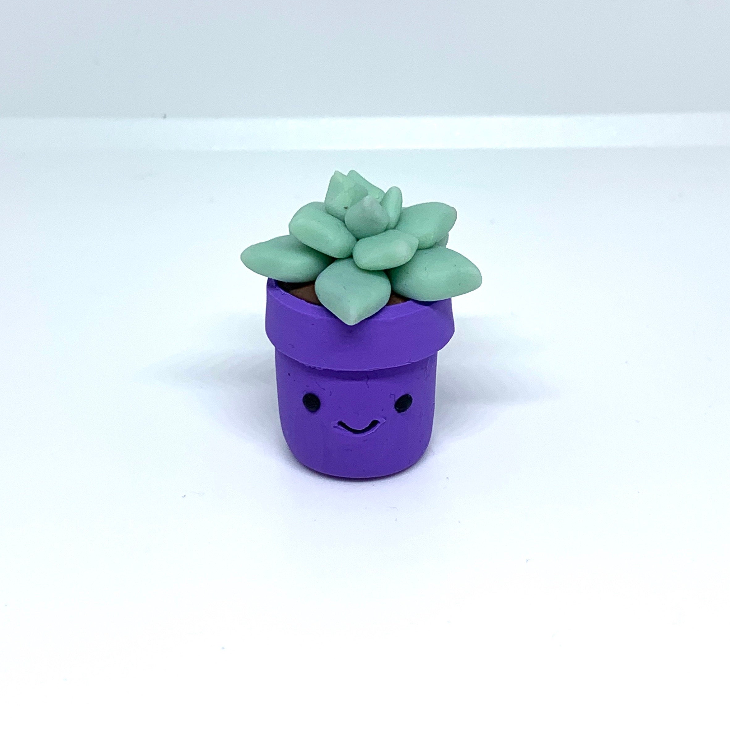 Plant Potted Succulent Plant Cute Potted plant Etsy