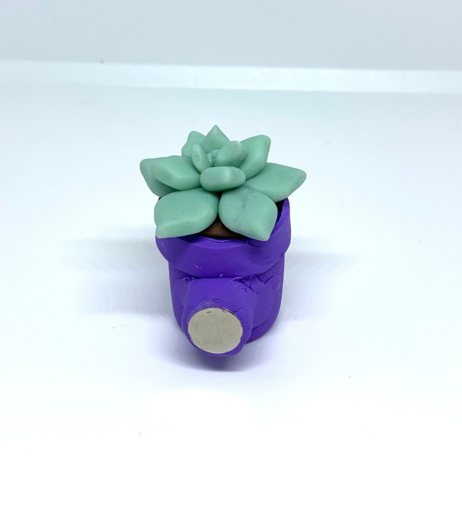 Plant Potted Succulent Plant Cute Potted plant Etsy