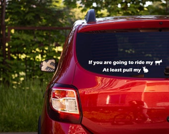 If You Are Going to Ride My Car Decal Free Shipping Vinyl Decal Custom Decal Car Sticker